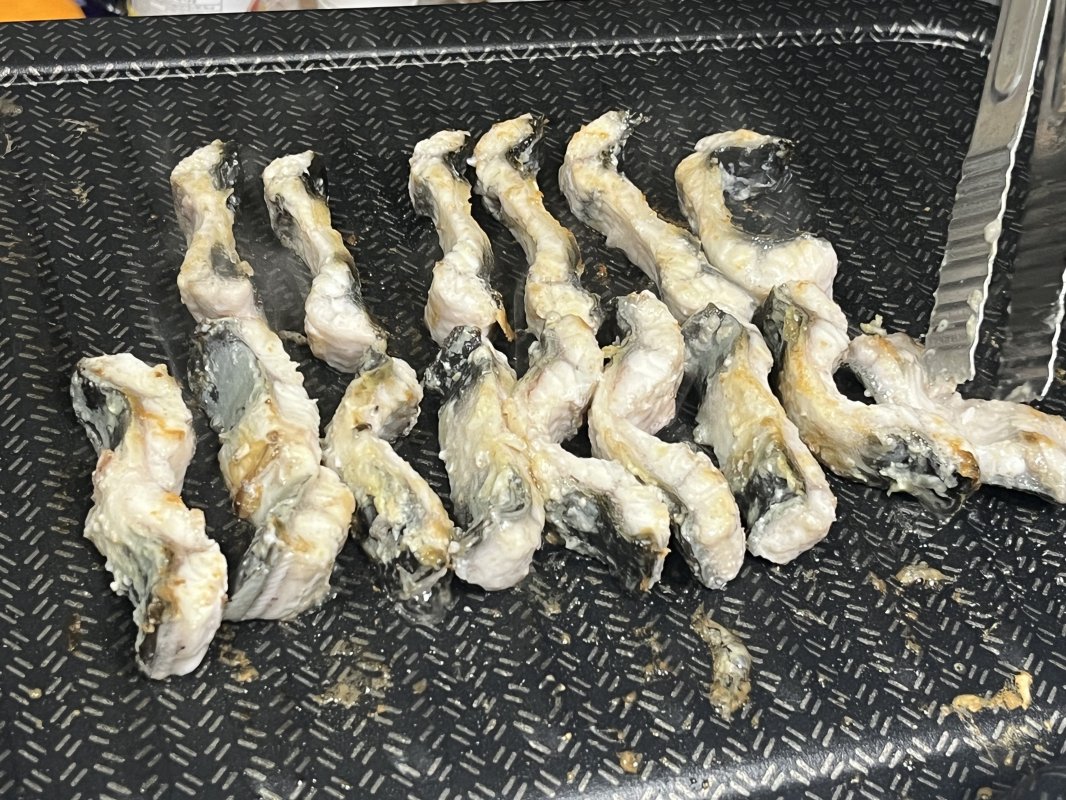 화순 자포니카 민물장어 600g