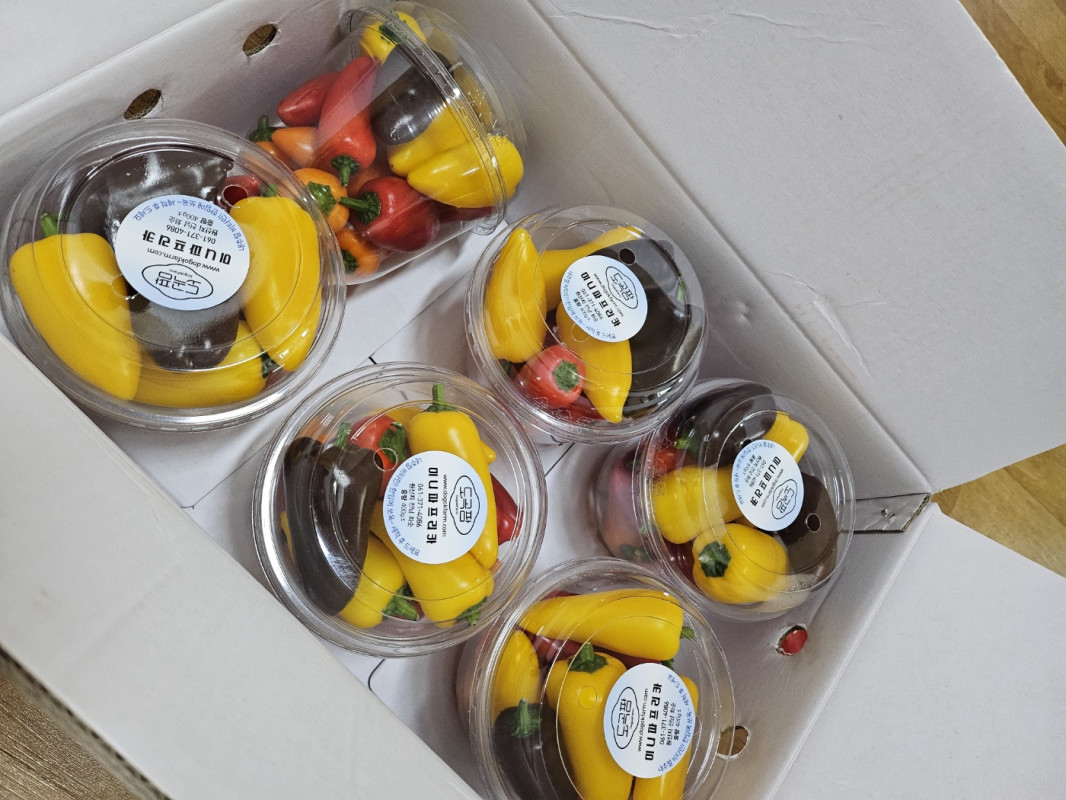 미니파프리카 (선물용) 2.5kg