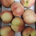 복숭아(딱복) 2kg/4kg 대과