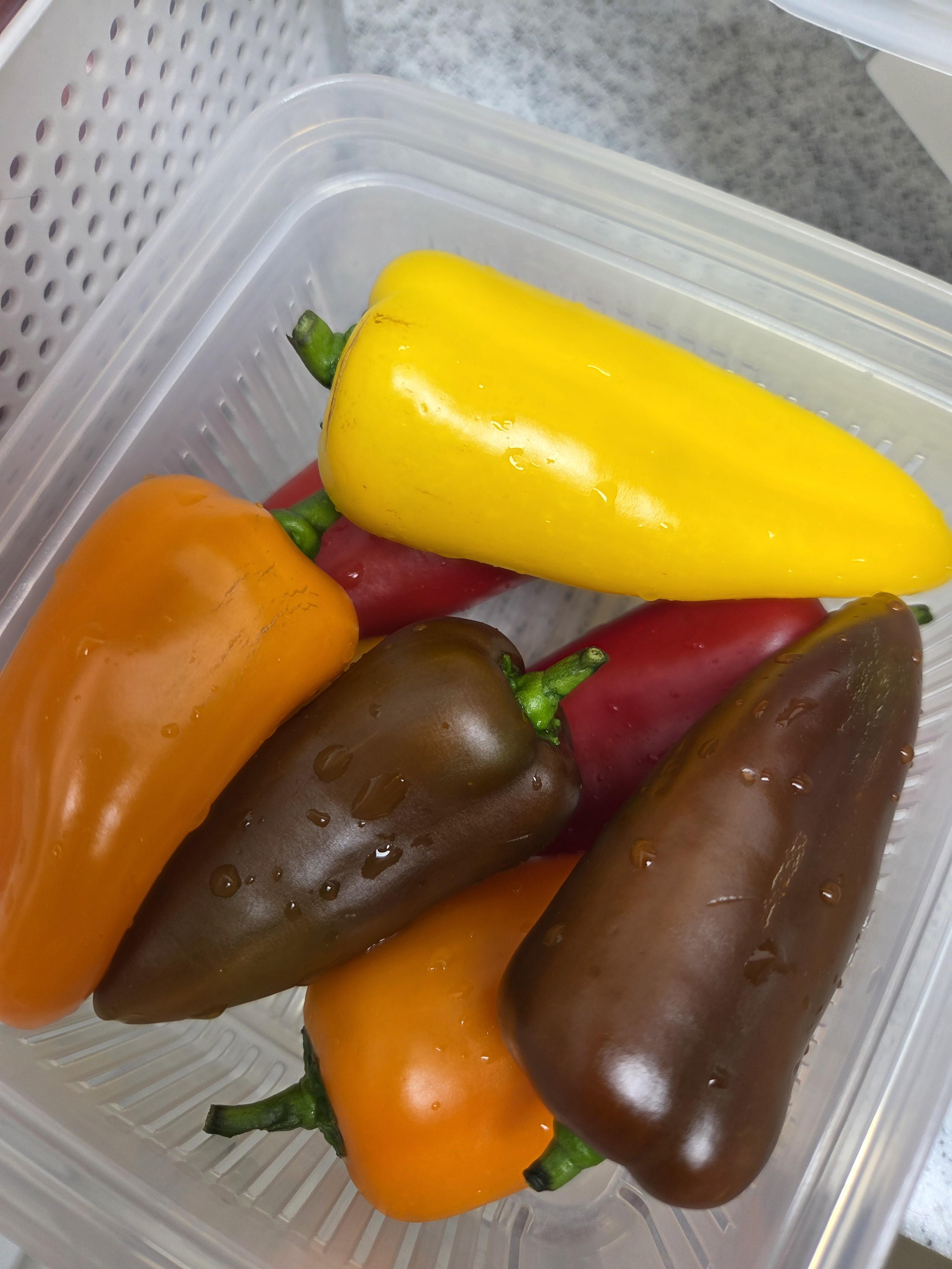 미니파프리카(가정용) 1.2kg