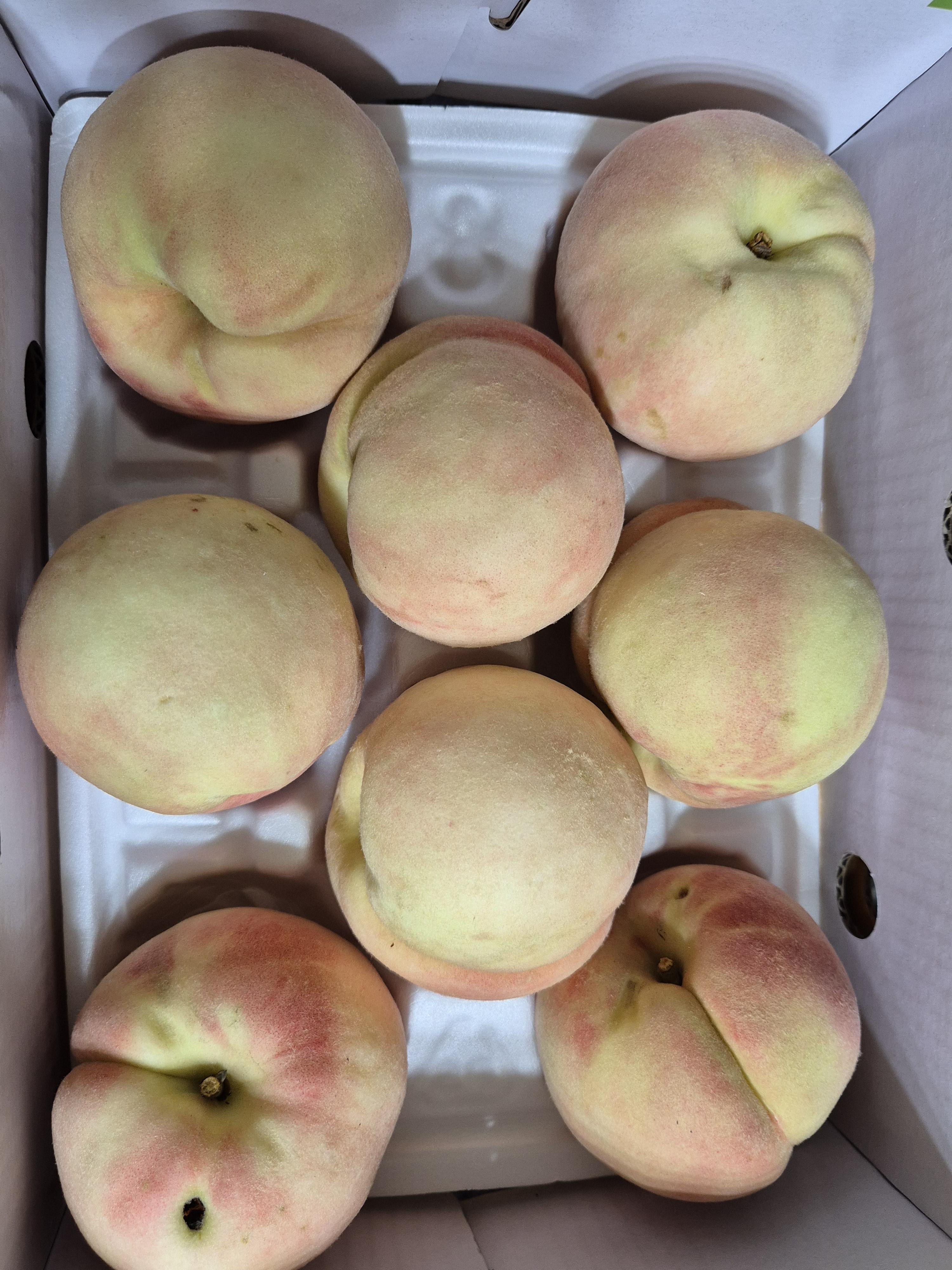 복숭아(딱복) 2kg/4kg 대과