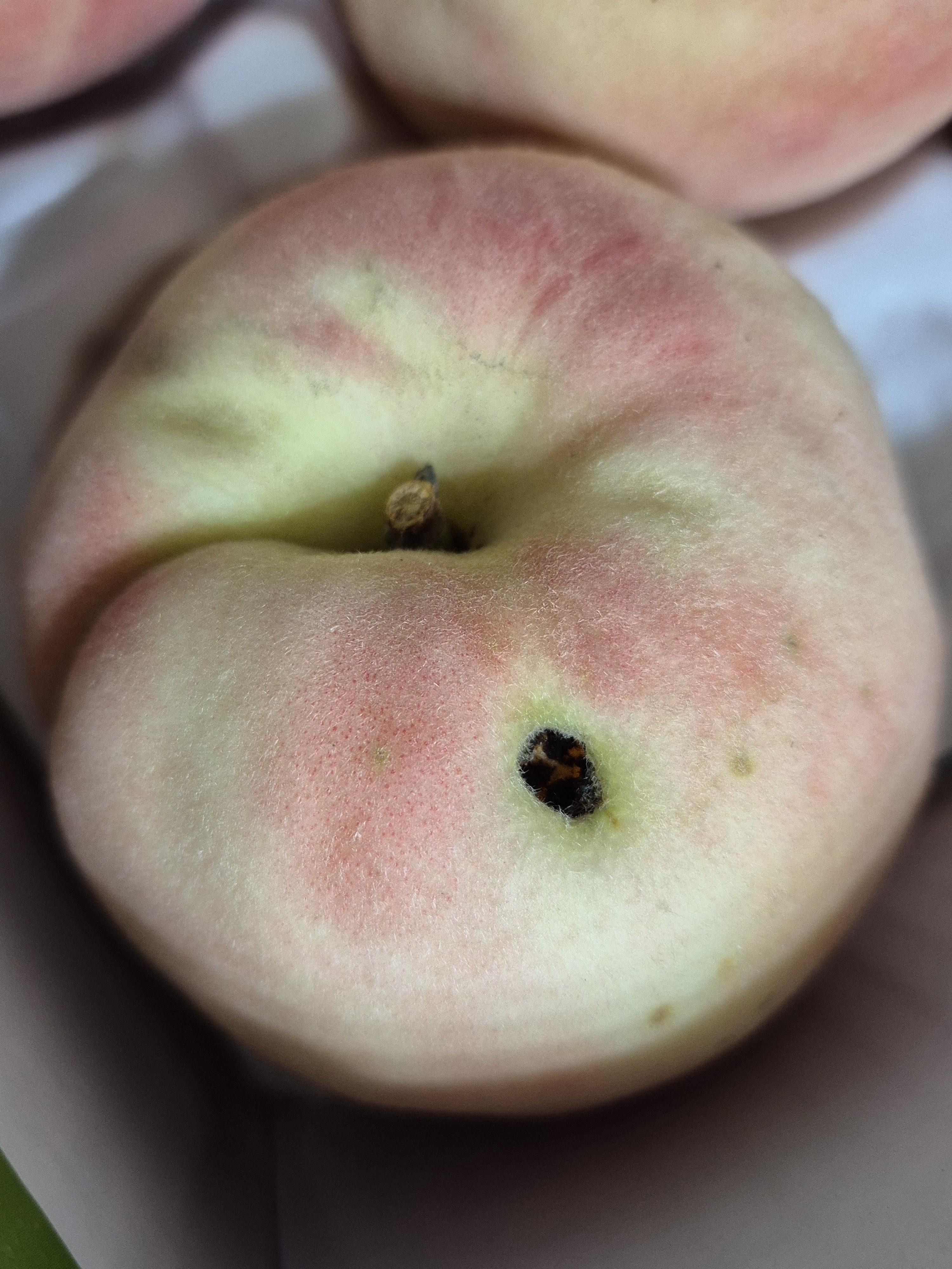 복숭아(딱복) 2kg/4kg 대과