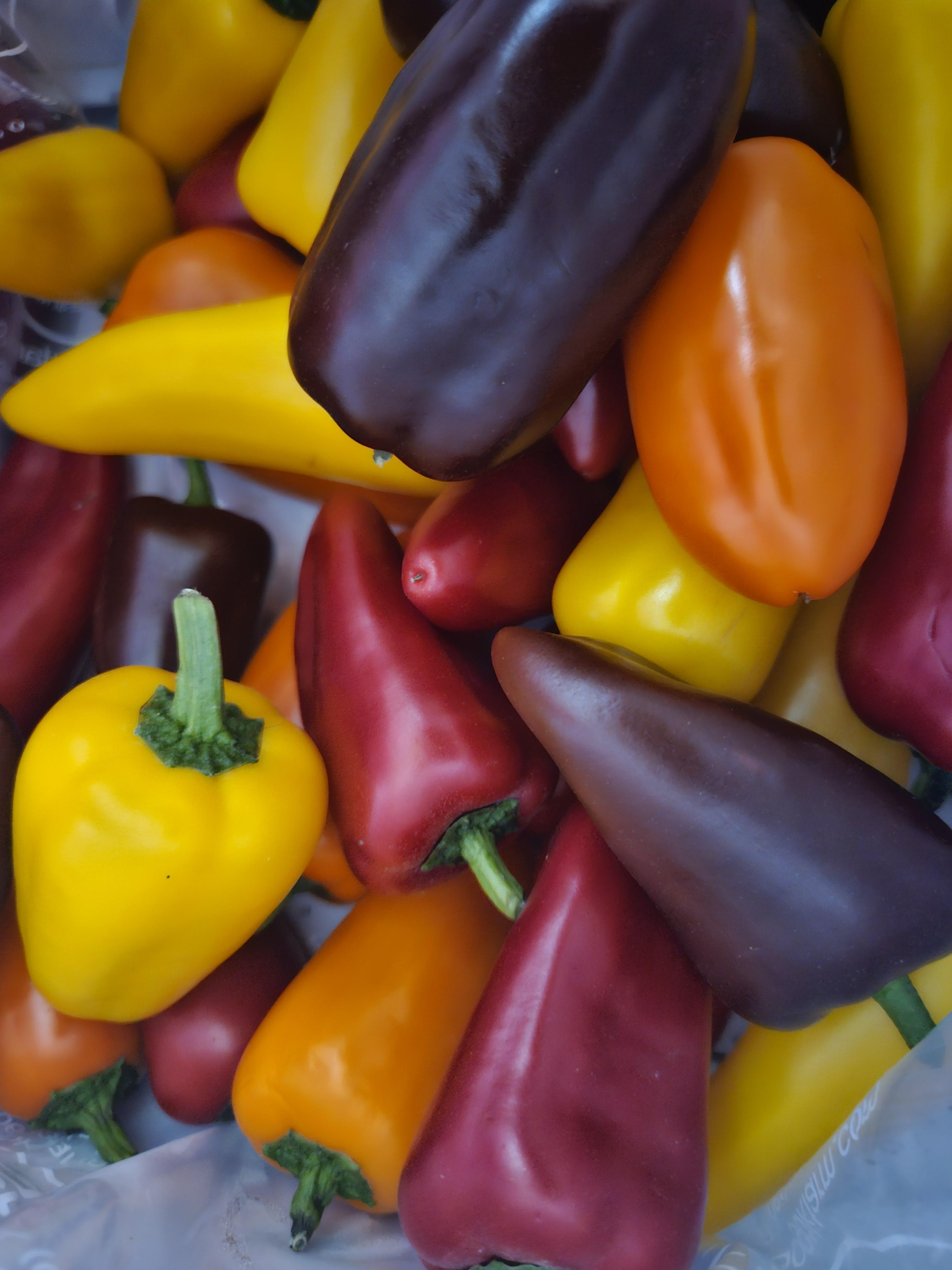 미니파프리카(가정용) 1.2kg