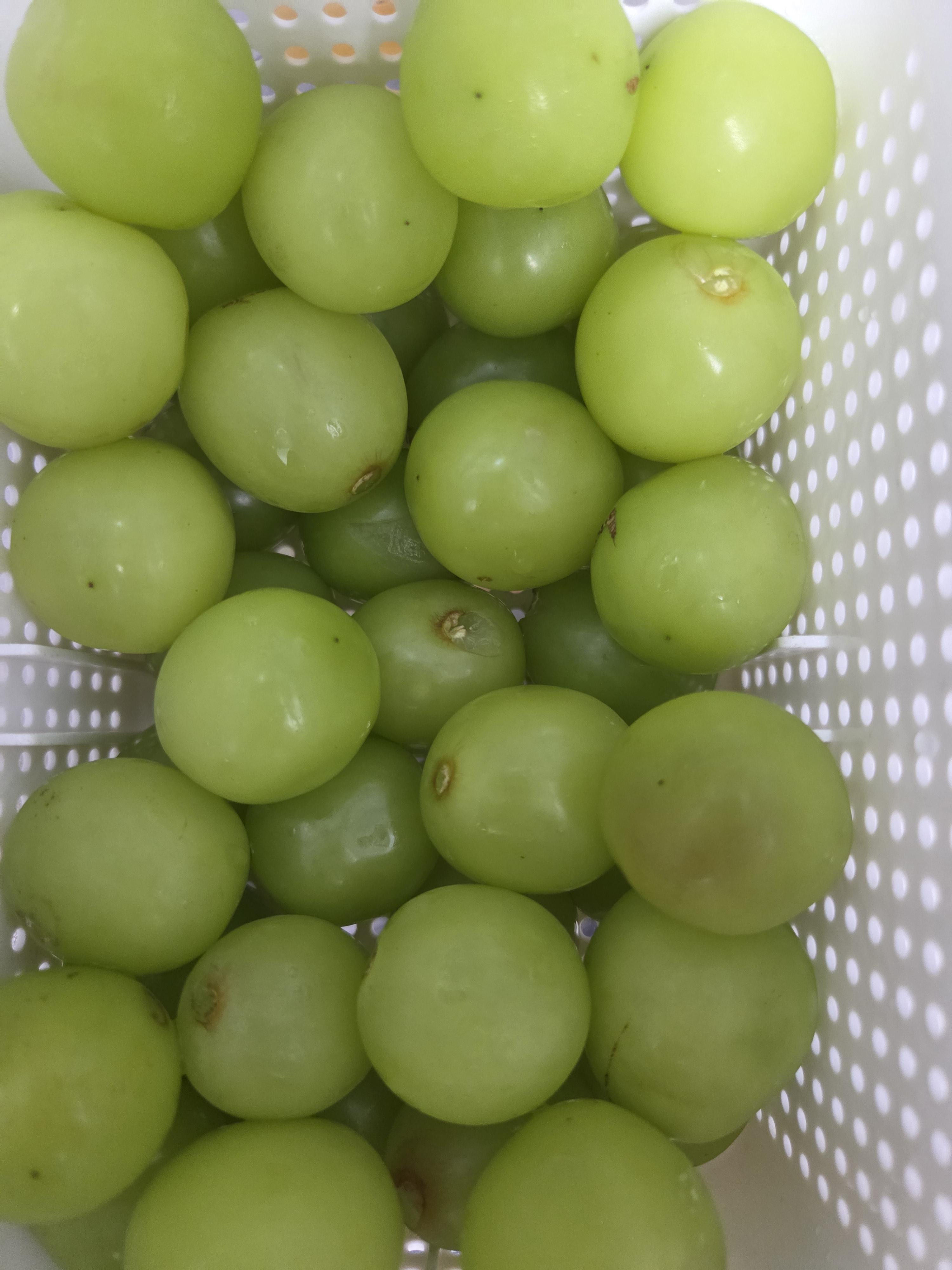 특품 샤인머스켓 2kg/4kg