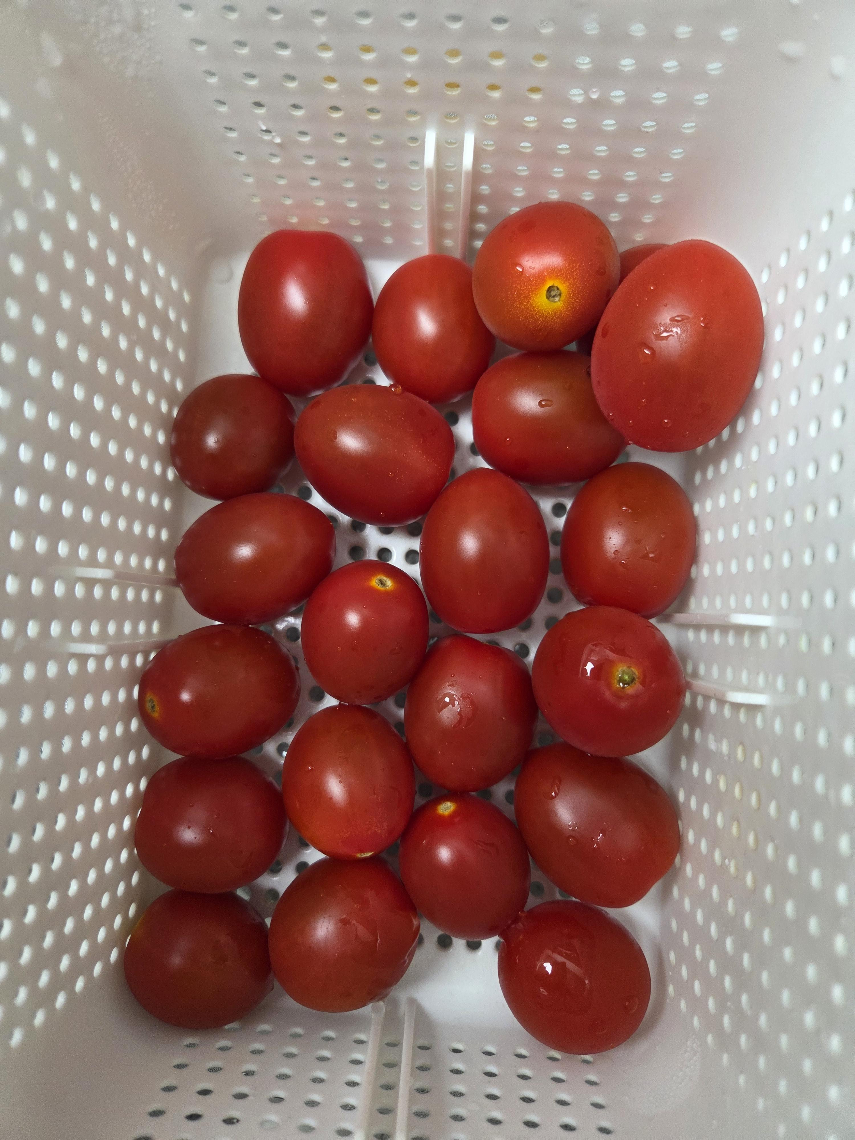 대추방울토마토 2kg / 5kg