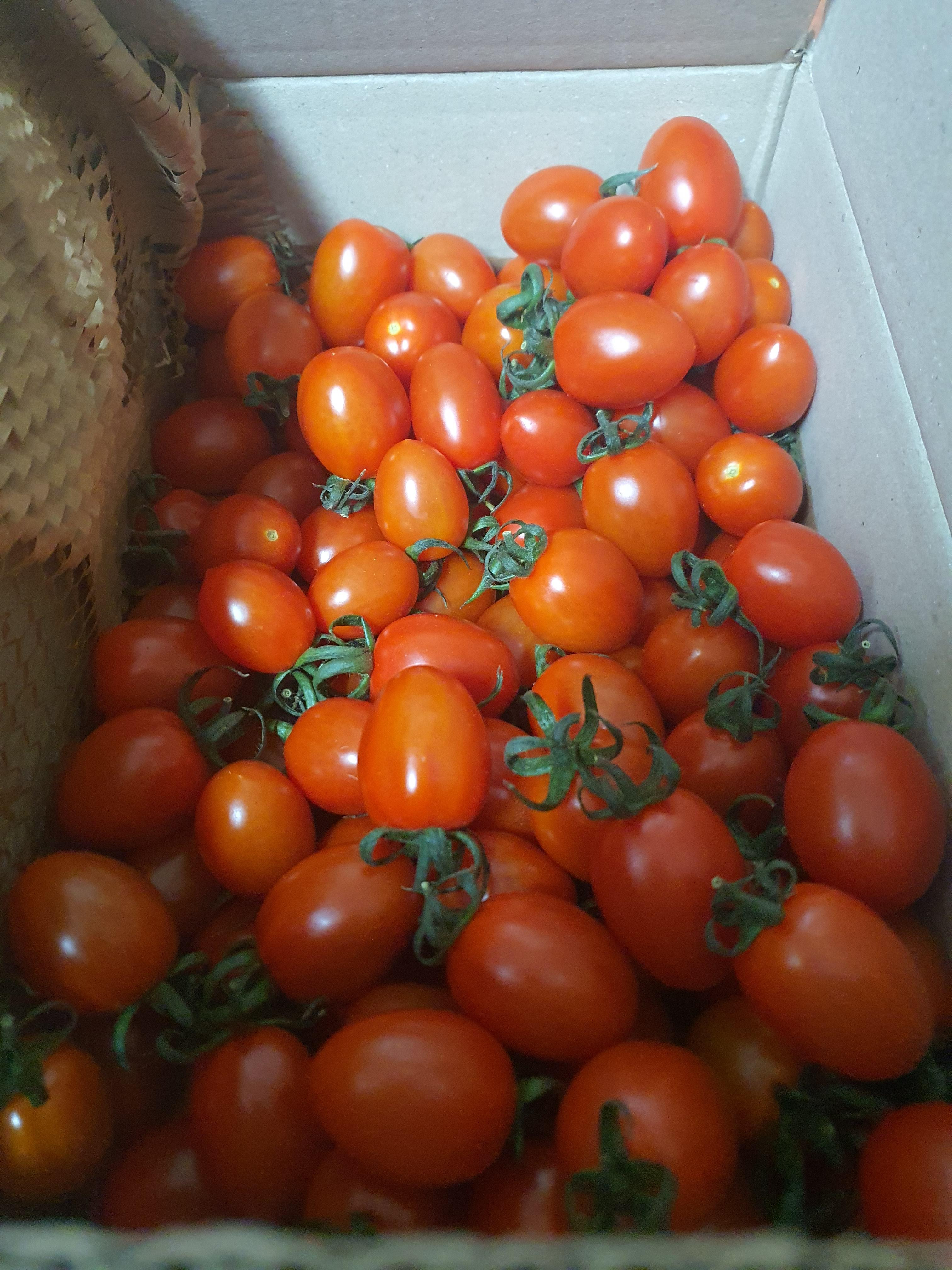 방주대추방울토마토 즙 100ml x 30포