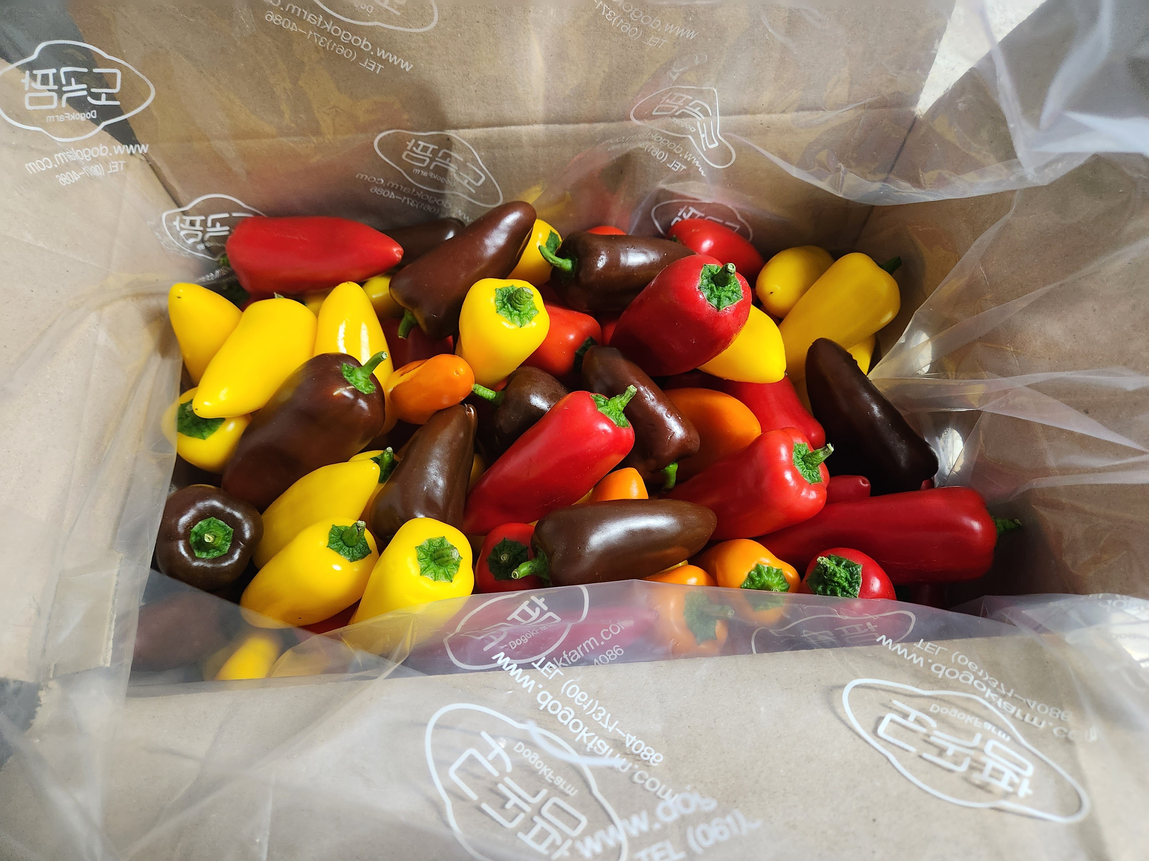 미니파프리카(가정용) 3kg 