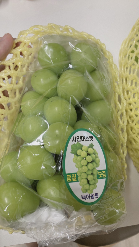 샤인머스켓 2kg/3kg/4kg