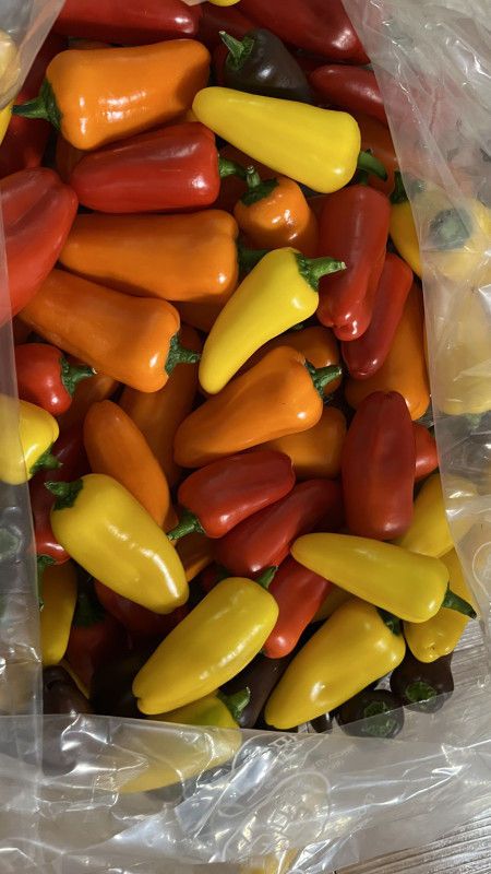 미니파프리카(가정용) 3kg 