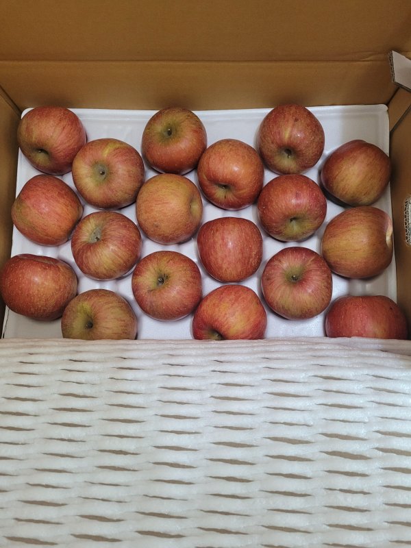 사과 가정용(흠과) 2.5kg/5kg/10kg