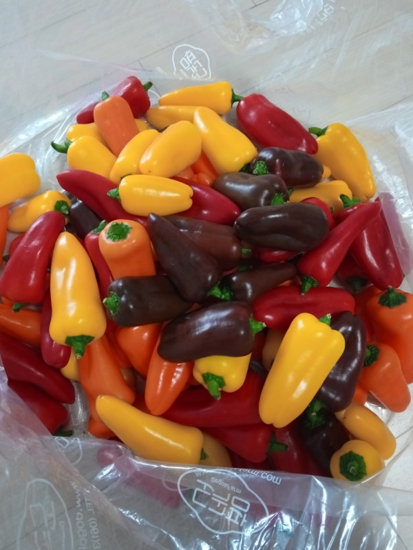 미니파프리카(가정용) 3kg 