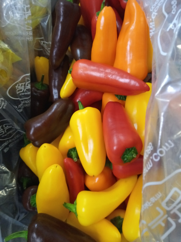 미니파프리카(가정용) 3kg 