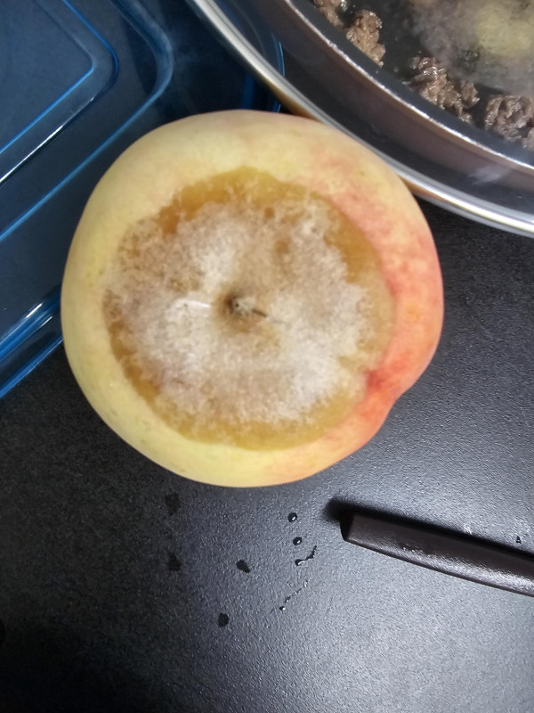 복숭아(물복) 2kg/4kg