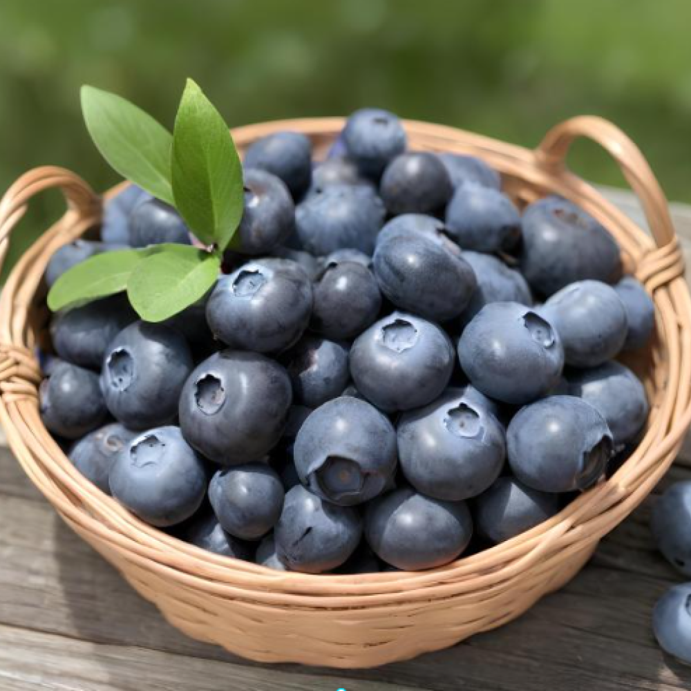 블루베리 1kg