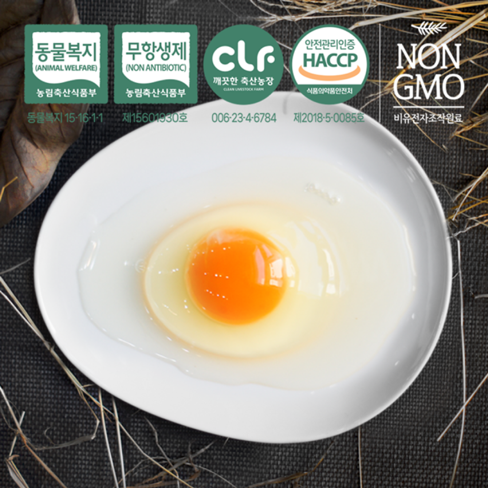 구쁘 옹알옹알 계란 30구(10구*3개입)