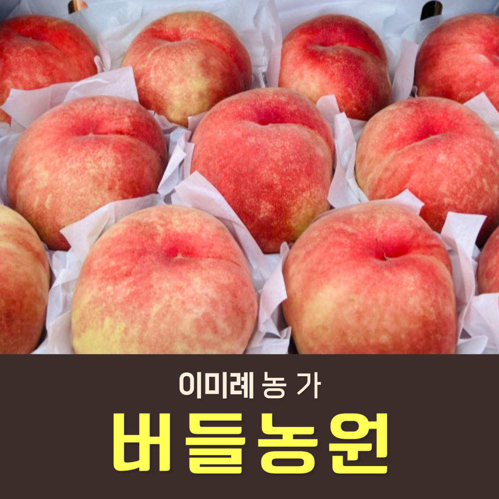 복숭아(딱복) 2kg/4kg