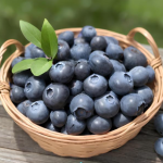 블루베리 1kg
