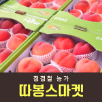 복숭아(물복) 2kg/4kg
