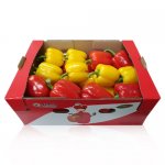 수출용 파프리카 5kg