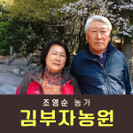 복숭아(딱복) 2kg/4kg