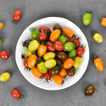 (종료-24년 5월이벤트)GAP인증 컬러대추방울토마토