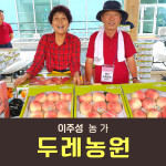 복숭아(딱복) 4kg