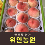 복숭아(딱복) 2kg/4kg