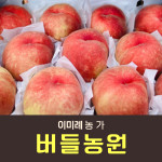 복숭아(딱복) 2kg/4kg