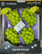 샤인머스켓 2kg/ 3kg/ 4kg