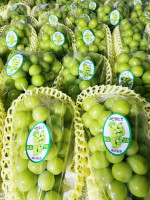 샤인머스켓 2kg/3kg/4kg