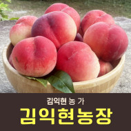 복숭아(물복/딱복) 4kg