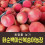 복숭아(딱복) 4kg