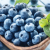 블루베리 1kg