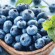 블루베리 1kg