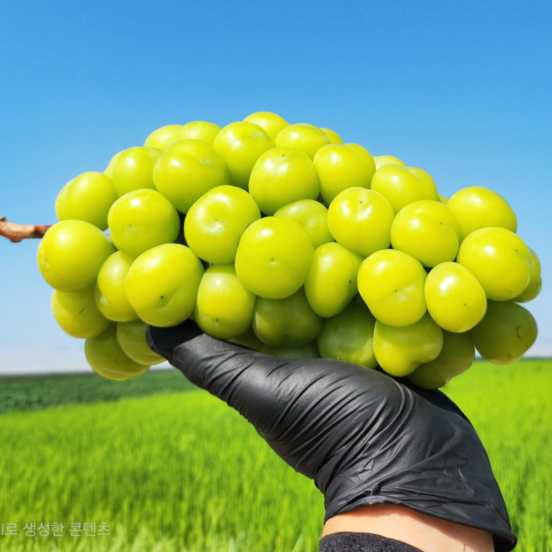 샤인머스켓 2kg/ 3kg/ 4kg