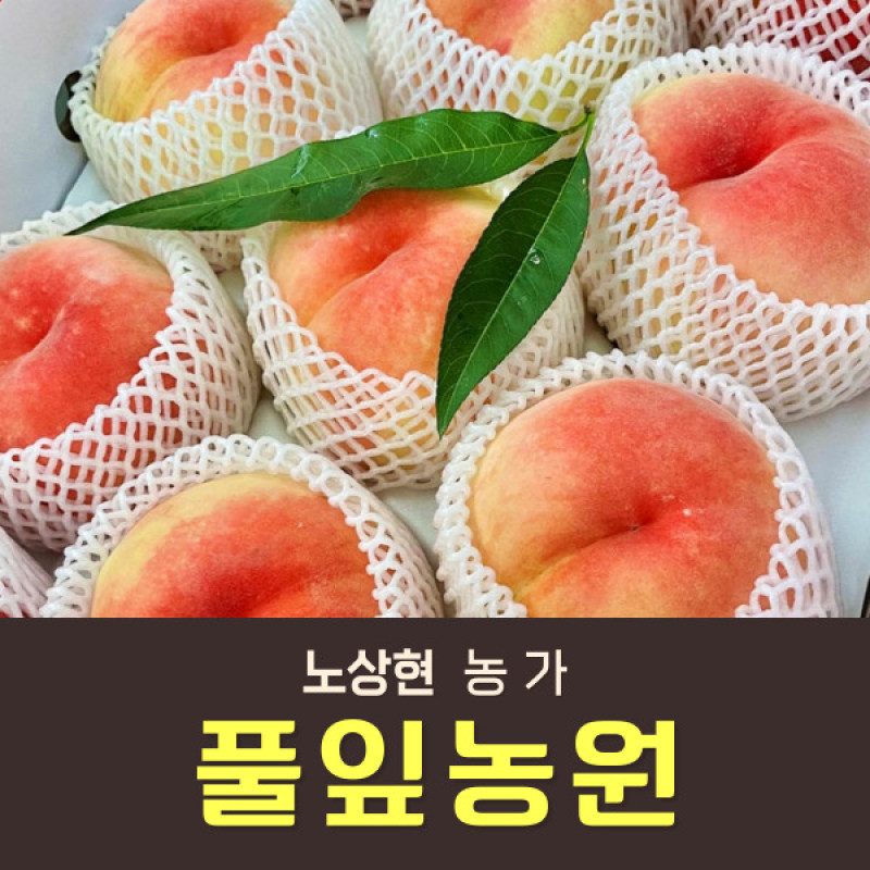 유기농 복숭아 1.8kg/3kg/3.6kg
