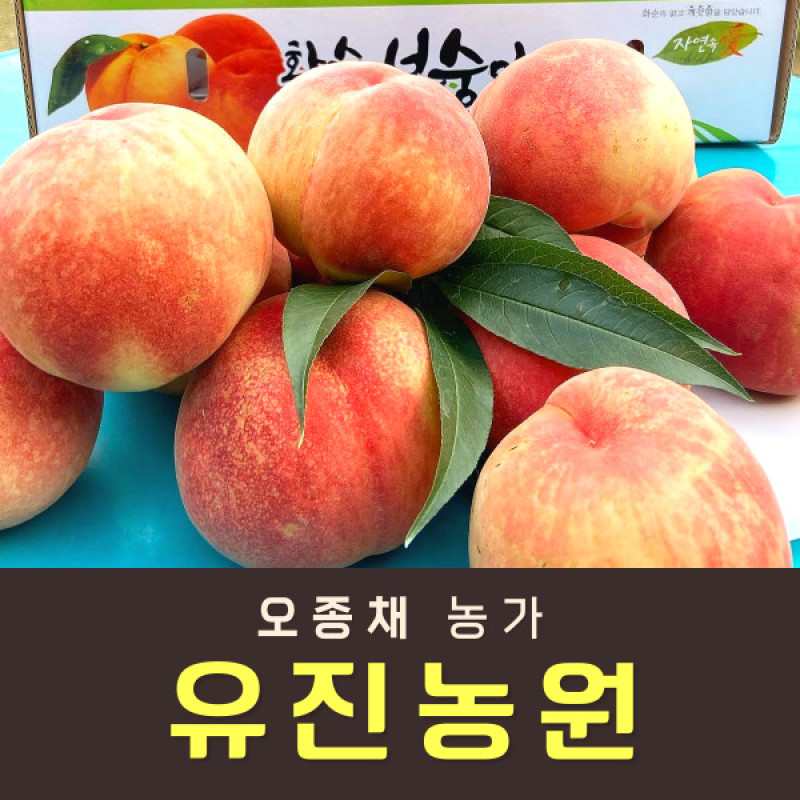 복숭아(물복) 2kg/4kg