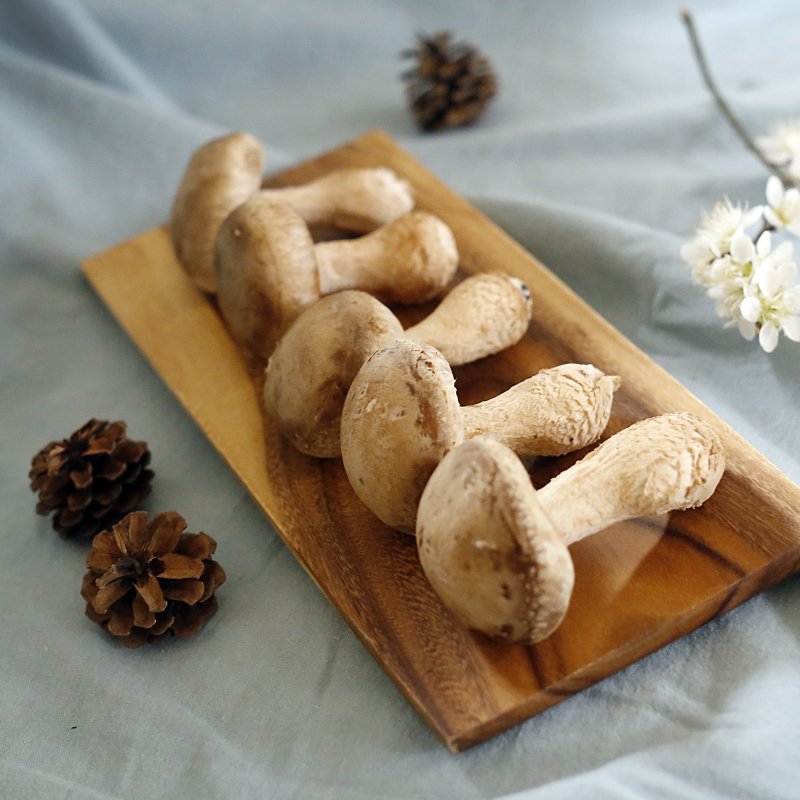 명품버섯(송화고)1kg 풍차농원