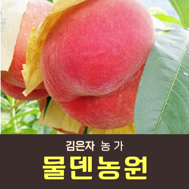 부드러운 황도 복숭아 2kg/3kg/4kg